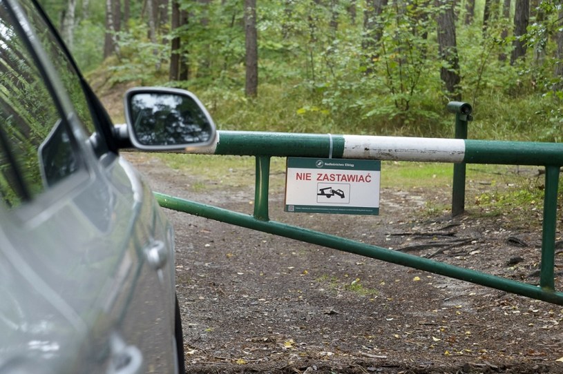 Czy można wjeżdżać samochodem do lasu /Stanisław Bielski /Reporter