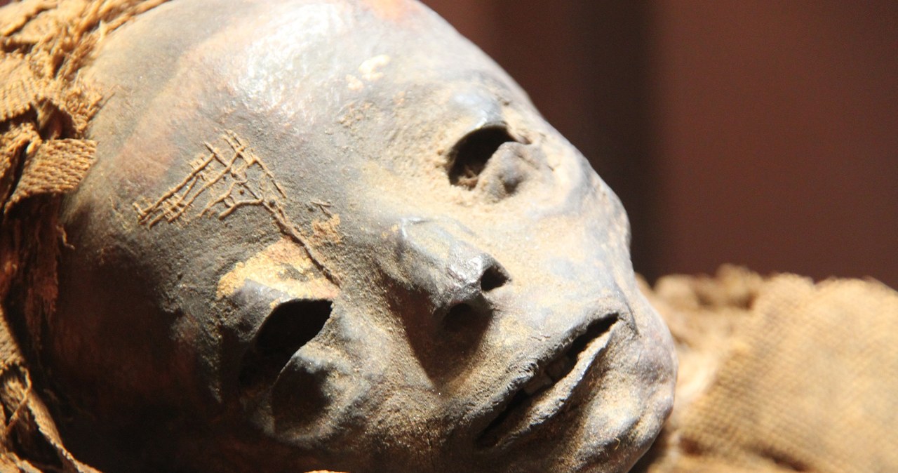 Czy mumia sprzed 2 tysięcy lat cierpiała na nowotwór? /ESD-SS  /Pixabay.com