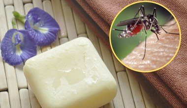 Czy mydło, którym się myjemy może mieć wpływ na komary? Okazuje się, że tak