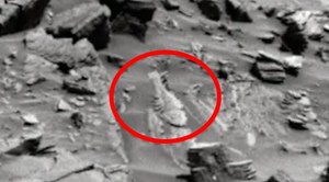 Czy na Marsie znaleziono szkielet ryby?