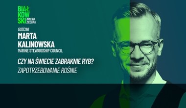 Czy na świecie zabraknie ryb? Zapotrzebowanie rośnie, ale jest problem