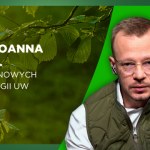 Czy nanoliść może produkować prąd? Ten life changer powstaje w Polsce