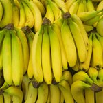 Czy naprawdę łączy nas z bananem 60 procent DNA? Fakty i mity