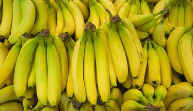 Czy naprawdę łączy nas z bananem 60 procent DNA? Fakty i mity