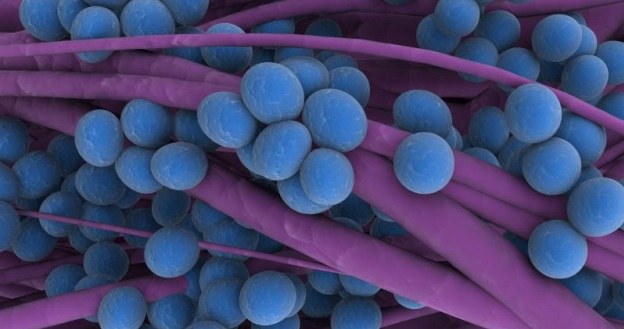 Czy nowy antybiotyk okaże się skuteczny? /123RF/PICSEL