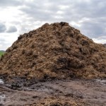 Czy obornik to odpad? Zdecydować muszą posłowie 