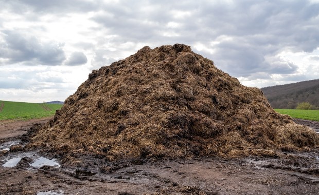 Czy obornik to odpad? Zdecydować muszą posłowie 
