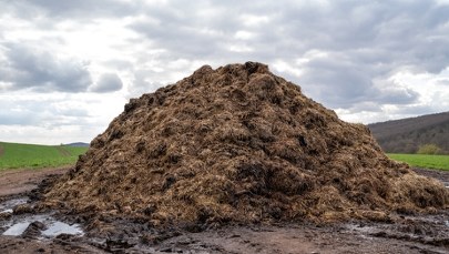 Czy obornik to odpad? Zdecydować muszą posłowie 