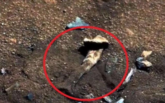 Czy odkryty na zdjęciu z Marsa obiekt to kość? Raczej nie, ale warto wiedzieć, skąd biorą się takie teorie /Innemedium.pl