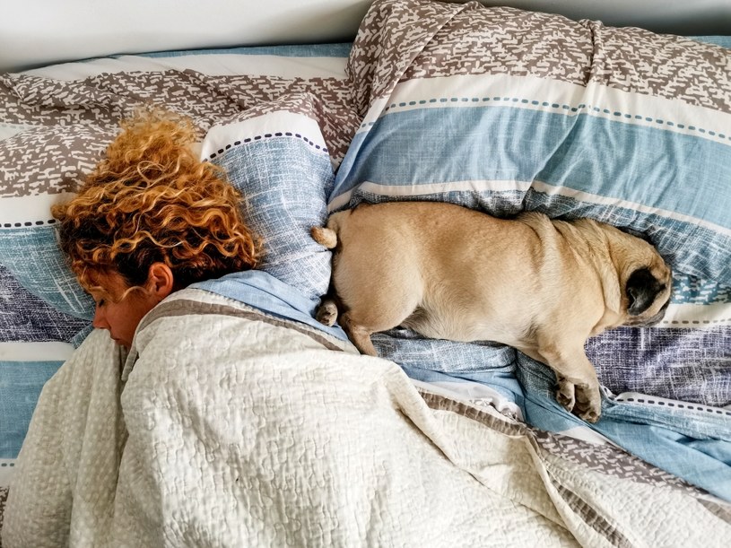 "Czy pies może na łoże?". Oto cała prawda o spaniu z psem