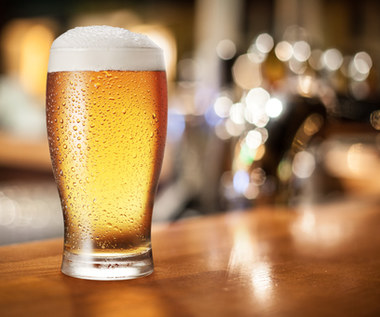 Czy po jednym piwie można prowadzić auto? Ile czasu kierowca trawi alkohol?