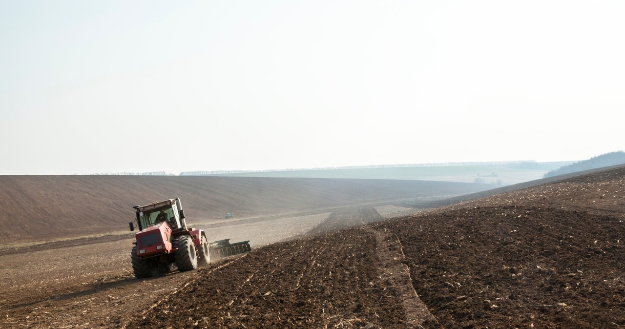 Czy Polska wykarmi Ukrainę? To szansa dla naszego rolnictwa /123RF/PICSEL