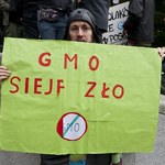 Czy Polskę zaleje GMO?