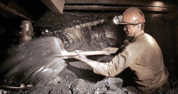 Czy polskie górnictwo zyska na brakach węgla? /AFP