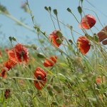 Czy potrafimy dorosnąć, nie tracąc wrażliwości? Bezbronne spojrzenie dziecka