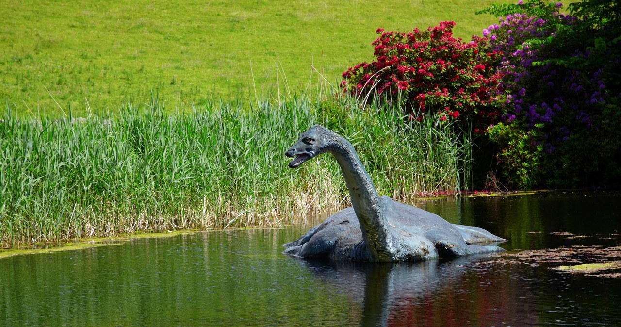 Czy potwór z Loch Ness istnieje? Nie ma na to dowodów /materiały prasowe