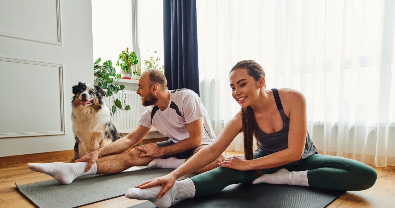Czy Puppy Yoga jest właściwą drogą socjalizacji dla psa? /123RF/PICSEL