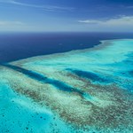 Czy rafy koralowe przetrwają globalne ocieplenie?