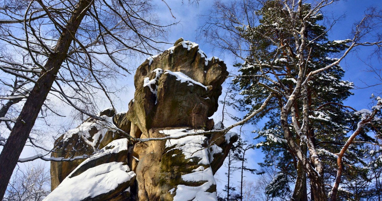 Czy rezerwat Prządki jest przedmiotem ochrony? /WOJCIECH ZATWARNICKI/REPORTER /East News