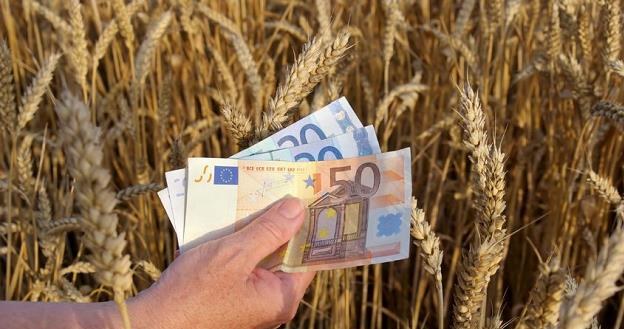 Czy rolnicy skazani są na kredyty w bankach spółdzielczych? /&copy;123RF/PICSEL