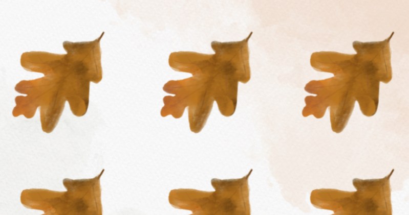 Czy rozpoznasz, który liść różni się od pozostałych? To trudna zagadka na spostrzegawczość /Canva Pro /materiał zewnętrzny