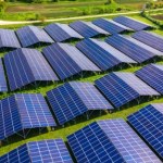 bioróżnorodność Czy rozwój energii słonecznej zagraża ptakom? Odkryto dziwne zależności