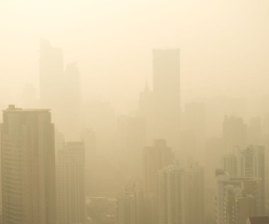 Czy rząd oczyści program Czyste Powietrze?