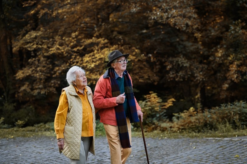 Czy seniorzy mogą liczyć na emeryturę bez lat pracy? /123RF/PICSEL