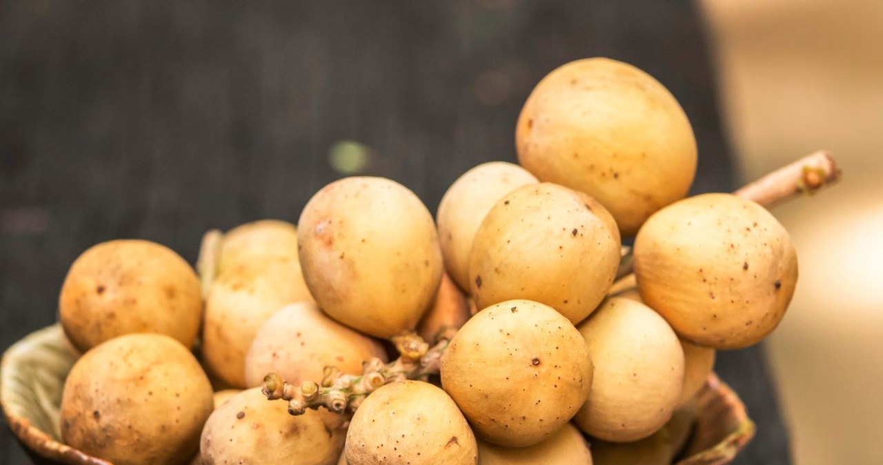 Czy słodliwka jest zdrowa? W jaki sposób wpływa na organizm? /muangsatung /Canva Pro