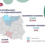 Czy stacja oszukuje na paliwie? Jest prosty sposób, żeby to sprawdzić 