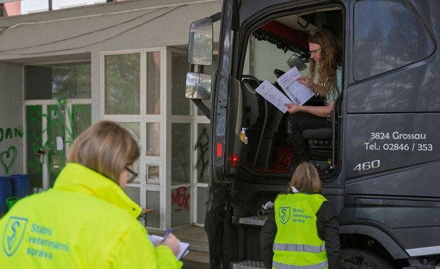 Czy to atak biologiczny? Na Węgrzech i Słowacji dyskusje o pochodzeniu pryszczycy