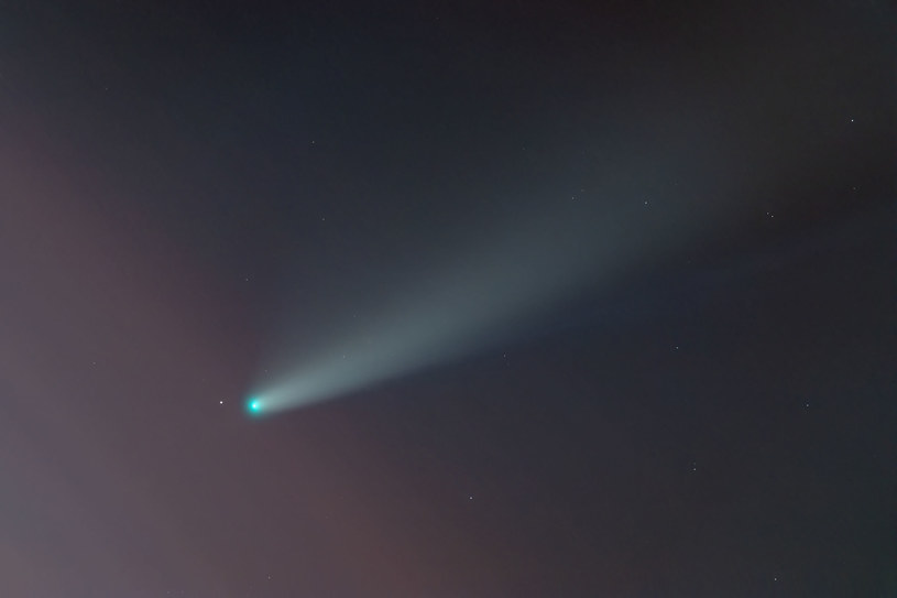 Czy to kometa odpowiada za wymarcie dinozaurów? /123RF/PICSEL
