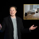 Czy to sypialnia Elona Muska? Miliarder skomentował zdjęcie