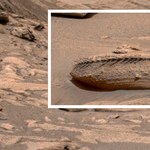 Czy to szkielet smoka na Marsie? NASA wyjaśnia "dowody życia" w kosmosie