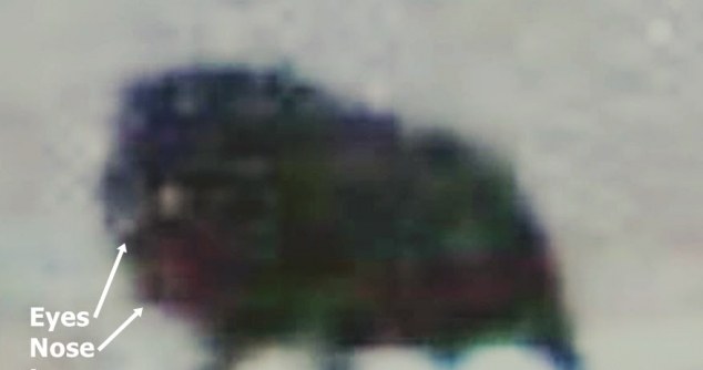 Czy to tylko zwyczajny kamień? /materiały prasowe