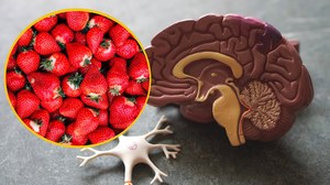 Czy truskawki mogą chronić mózg przed chorobą Alzheimera?