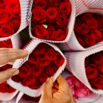 Czy Twoja miłość to tylko trik natury? Sprawdź, co mówi ekspert