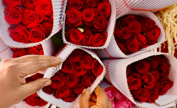 Czy Twoja miłość to tylko trik natury? Sprawdź, co mówi ekspert