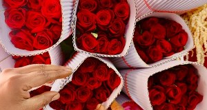 Czy Twoja miłość to tylko trik natury? Sprawdź, co mówi ekspert