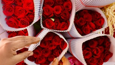 Czy Twoja miłość to tylko trik natury? Sprawdź, co mówi ekspert