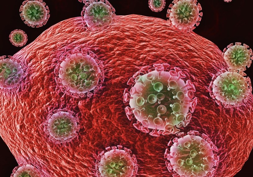 Czy w końcu uda się pokonać wirusa HIV? /123RF/PICSEL