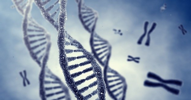 Czy w USA będzie można patentować geny? /123RF/PICSEL