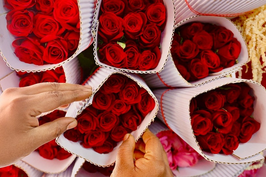 Czy Walentynki to tylko biochemiczny trik? Sprawdź, co o miłości mówią badania i świat zwierząt /JAGADEESH NV /PAP/EPA