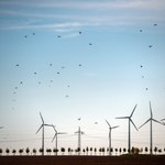 Czy warto inwestować w elektrownie wiatrowe?