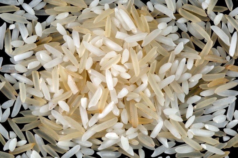 Czy wiesz, że kaloryczność ryżu można jeszcze zmniejszyć? /123RF/PICSEL