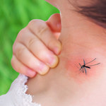 Czy witamina B1 odstrasza komary?