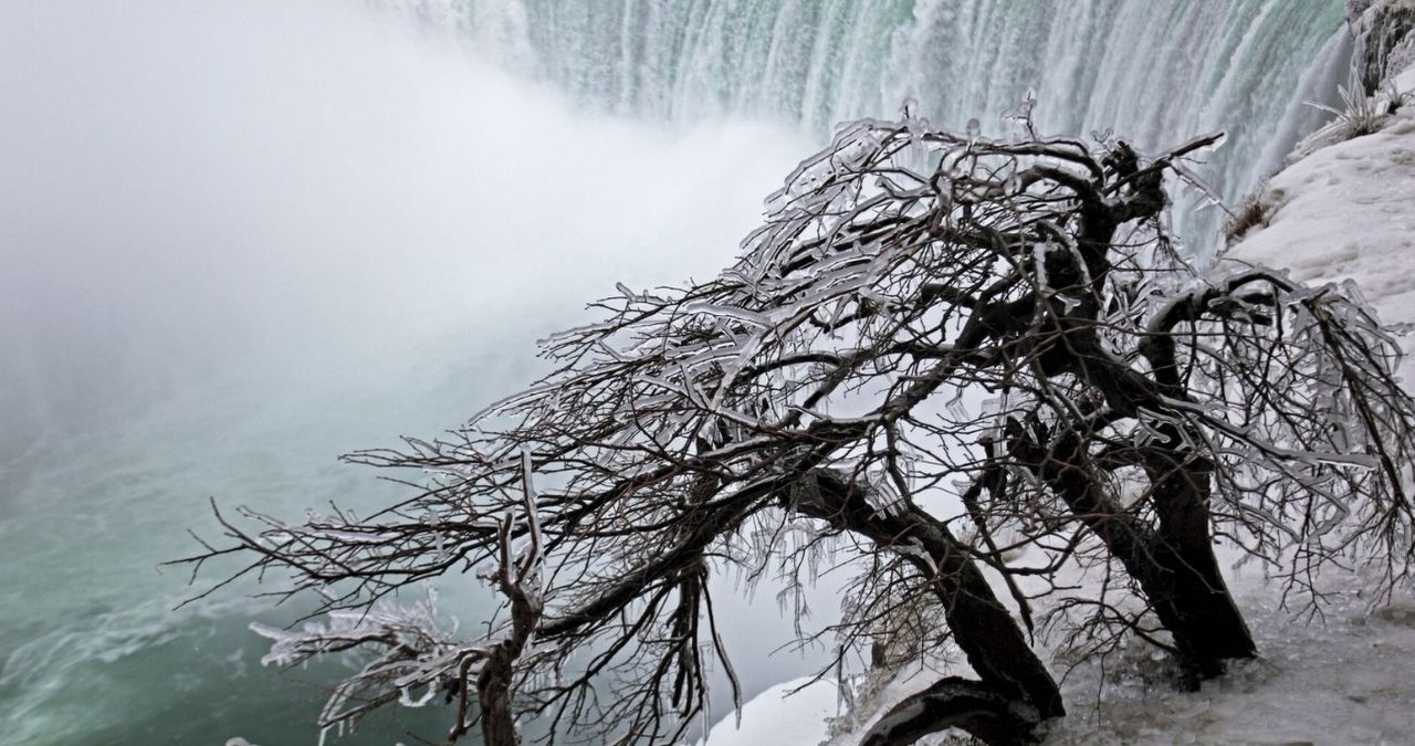 Czy wodospad Niagara może całkowicie zamarznąć? /John Cancalosi / ardea.com /East News