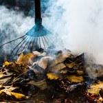 Czy wolno palić liście w ogrodzie albo na działce? Pewny mandat
