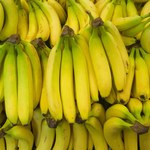 Czy wszystkie banany są radioaktywne? Tak, tłumaczymy dlaczego