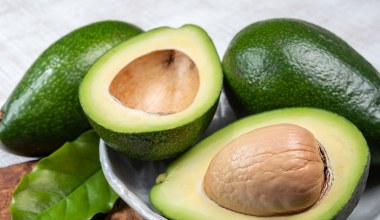 Czy z pestki wyrośnie drzewko owocowe? Sekret ogrodnika